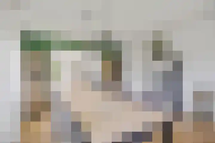 Stokkershagen 12 Tijnje thumbnail 20