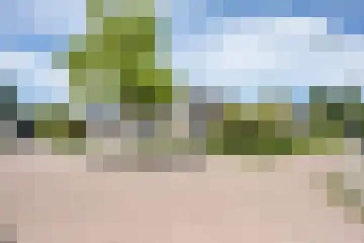 Stokkershagen 12 Tijnje thumbnail 41
