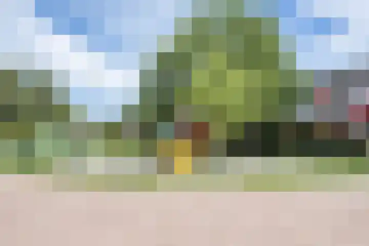 Stokkershagen 12 Tijnje thumbnail 44