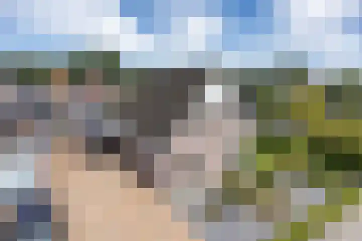Stokkershagen 12 Tijnje thumbnail 6