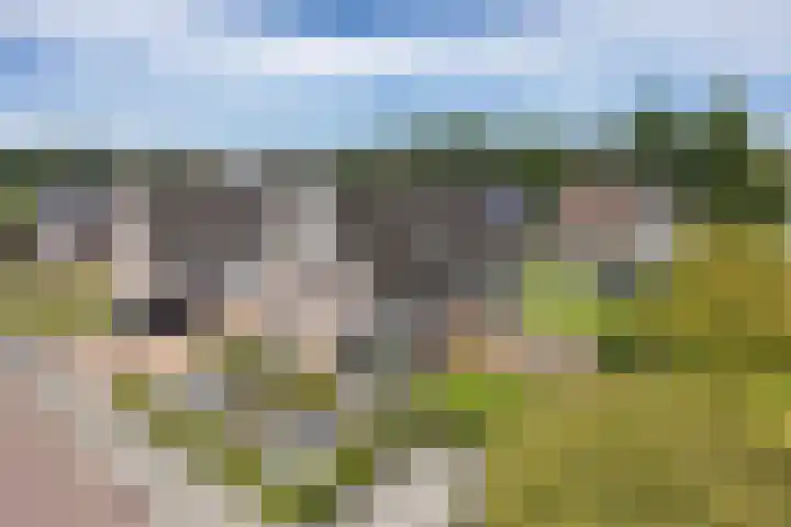 Stokkershagen 12 Tijnje thumbnail 7