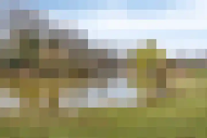 Stokkumbrink 18 Enschede thumbnail 40