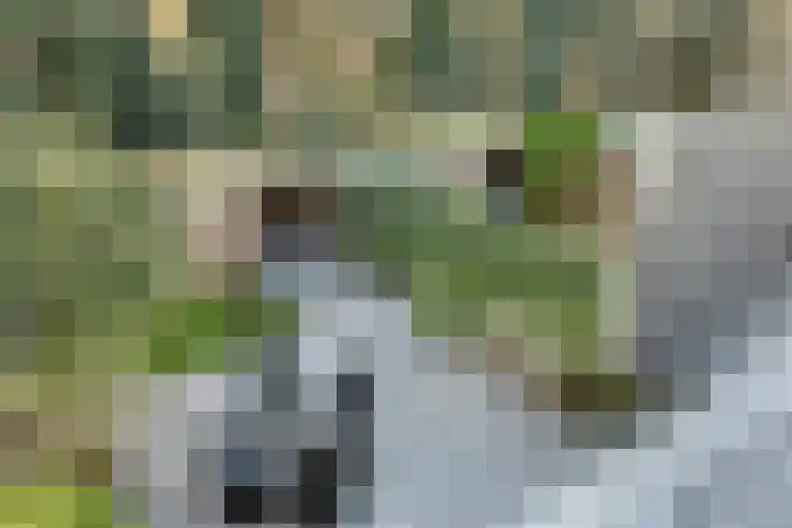 Stokkumbrink 35 Enschede thumbnail 20