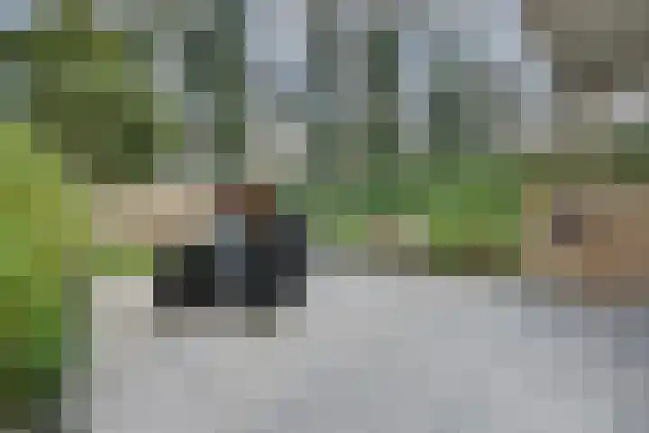 Stokkumbrink 35 Enschede thumbnail 34