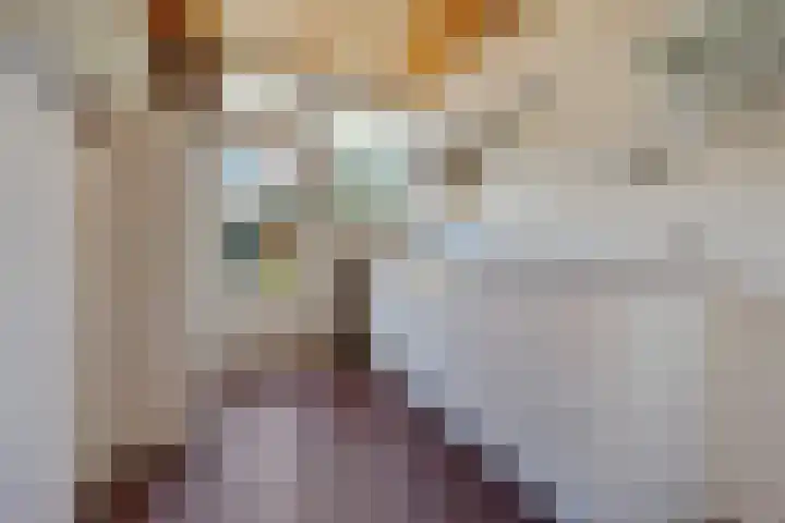 Stokkumbrink 98 Enschede thumbnail 8
