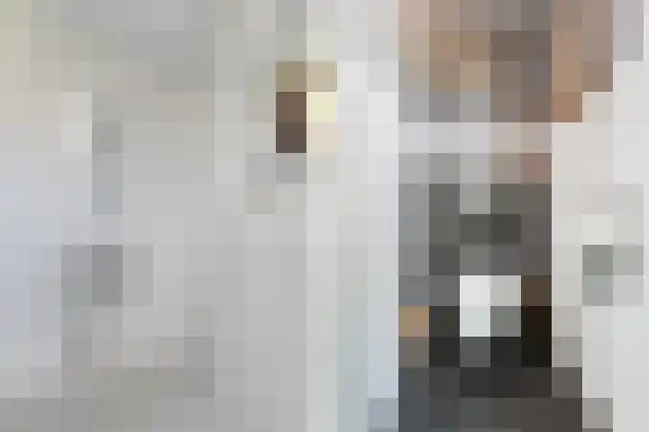 Stokkumerbroekweg 6 a Markelo thumbnail 18