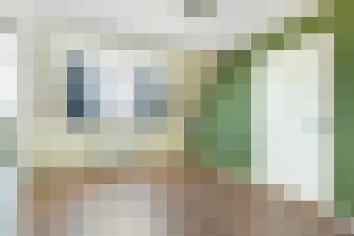 Stokkumerbroekweg 6 a Markelo thumbnail 25