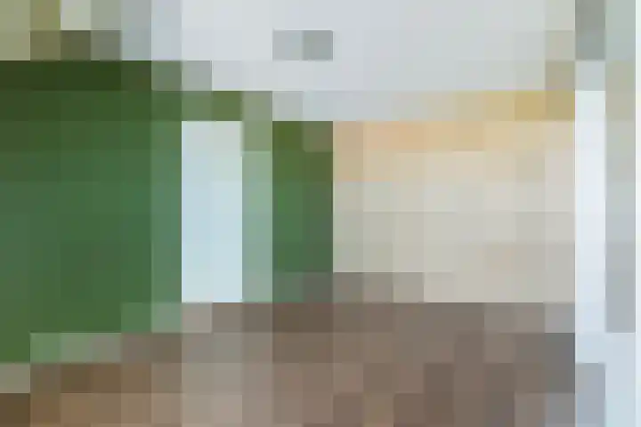 Stokkumerbroekweg 6 a Markelo thumbnail 27