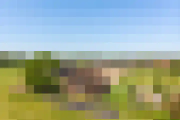 Stokkumerbroekweg 6 a Markelo thumbnail 28