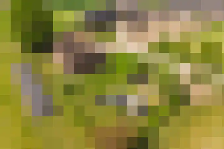 Stokkumerbroekweg 6 a Markelo thumbnail 30