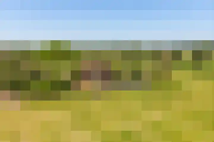 Stokkumerbroekweg 6 a Markelo thumbnail 31