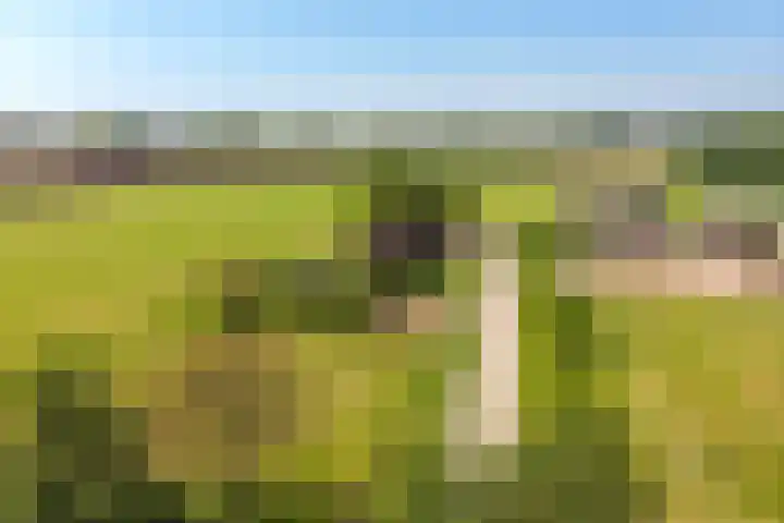 Stokkumerbroekweg 6 a Markelo thumbnail 32