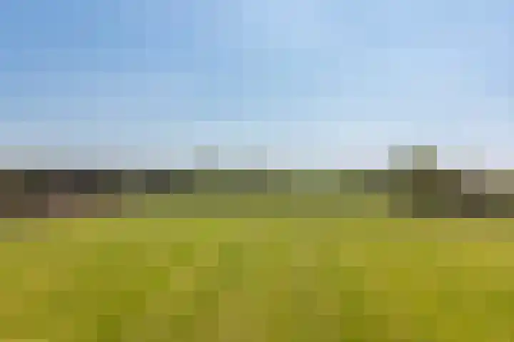 Stokkumerbroekweg 6 a Markelo thumbnail 33
