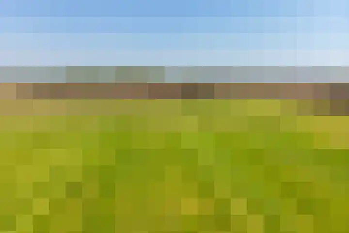 Stokkumerbroekweg 6 a Markelo thumbnail 34