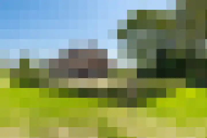 Stokkumerbroekweg 6 a Markelo thumbnail 4