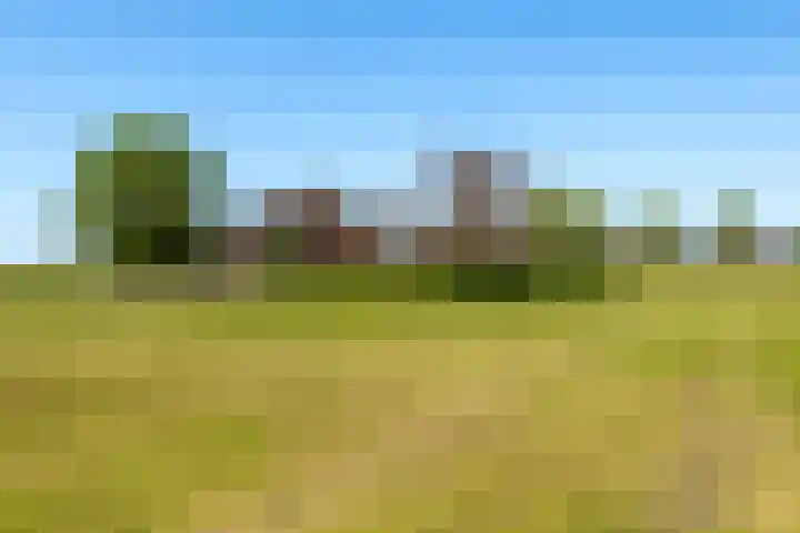 Stokkumerbroekweg 6 a Markelo thumbnail 6