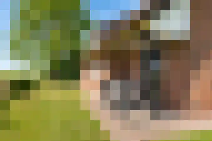Stokkumerbroekweg 6 a Markelo thumbnail 8
