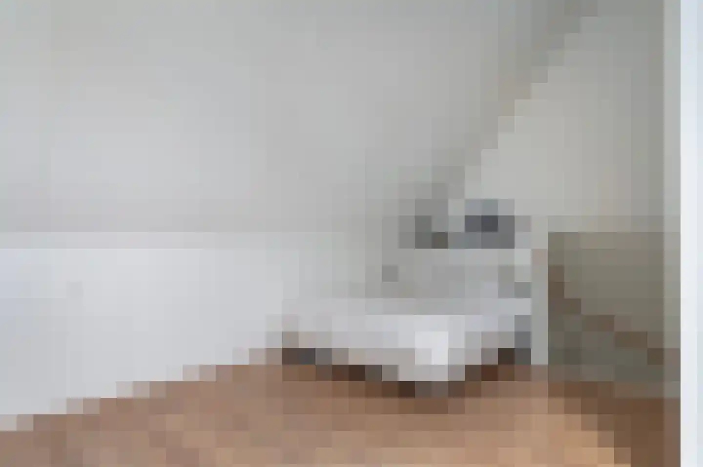 Stokkumerweg 24 d Markelo thumbnail 25