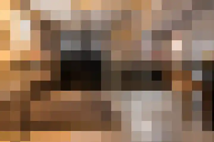 Stokkumerweg 30 Markelo thumbnail 33