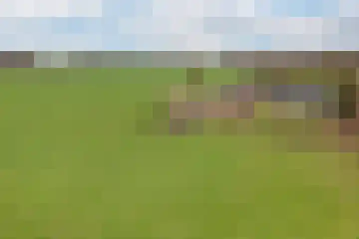 Stokkumerweg 30 Markelo thumbnail 36