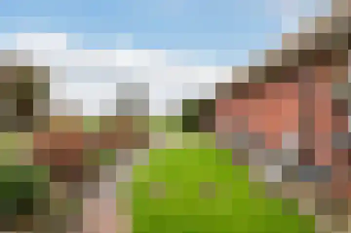 Stokkumerweg 30 Markelo thumbnail 7