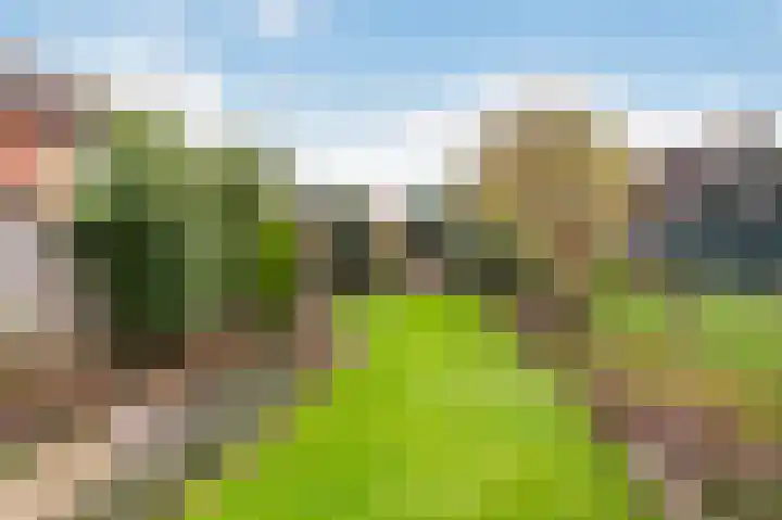 Stokkumerweg 30 Markelo thumbnail 9