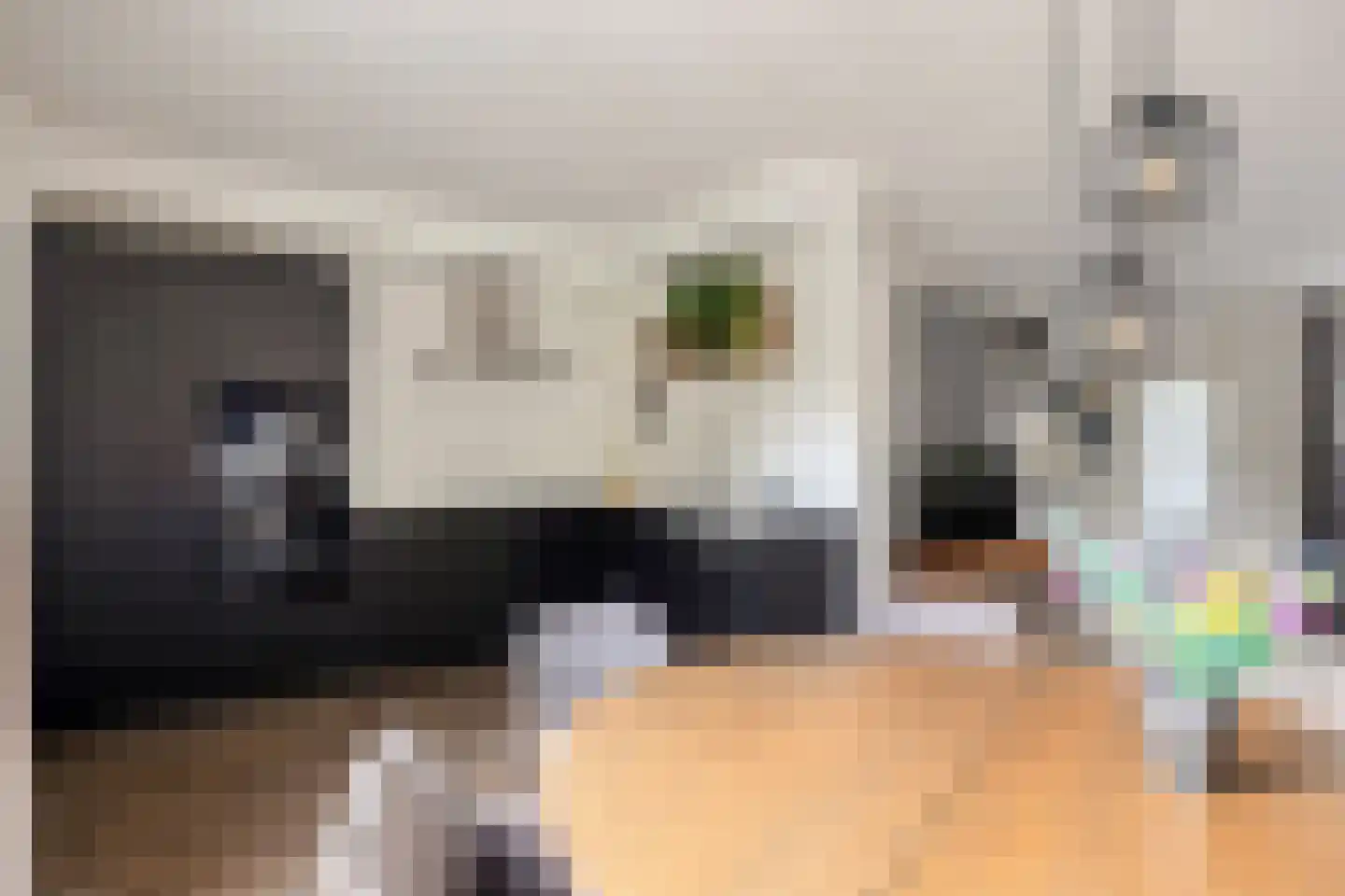 Stokmeesterslaan 24 Zwolle thumbnail 14