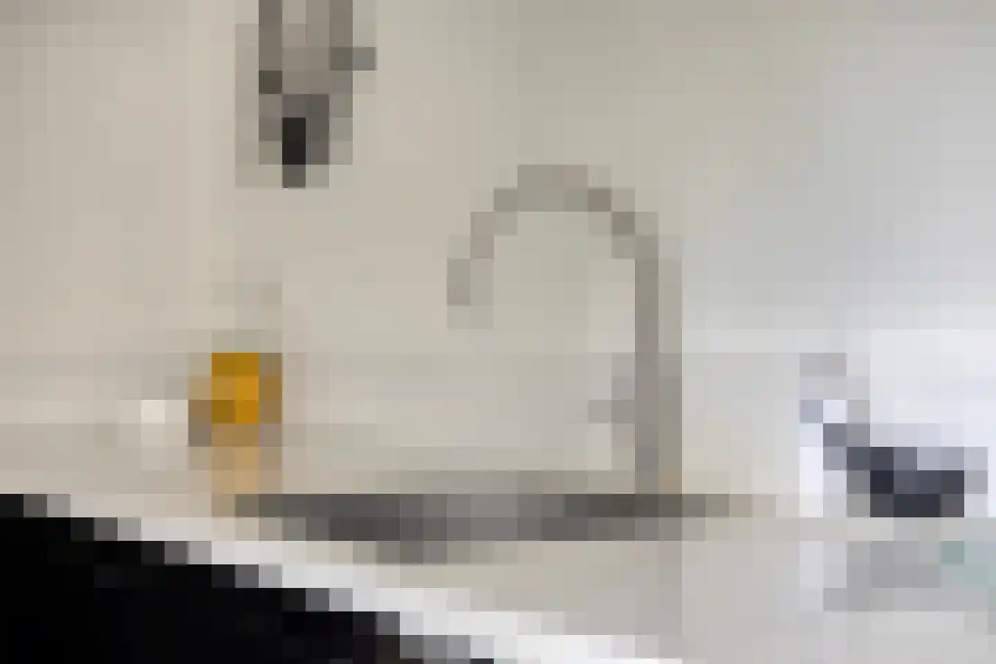 Stokmeesterslaan 24 Zwolle thumbnail 17