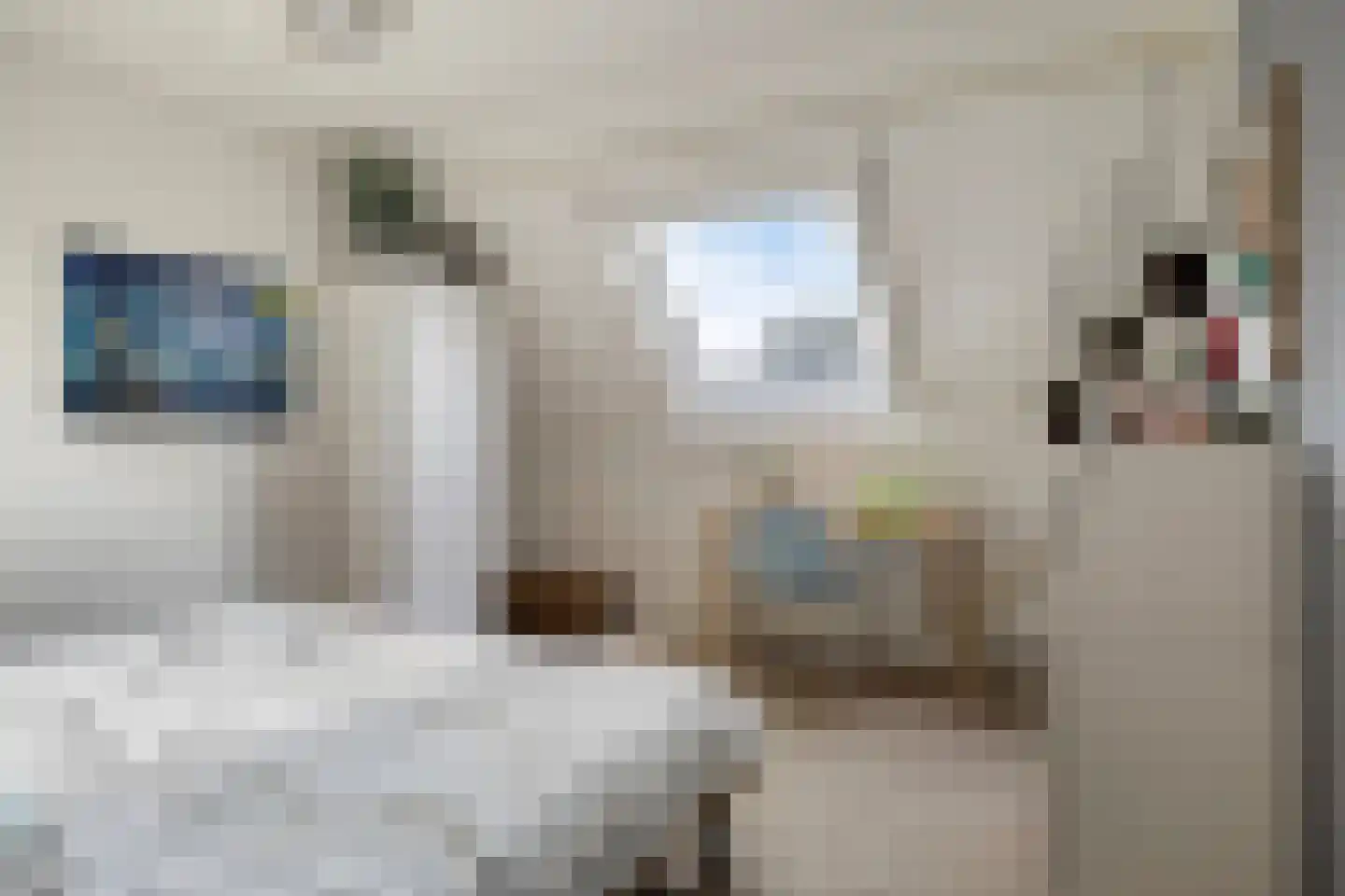 Stokmeesterslaan 24 Zwolle thumbnail 24