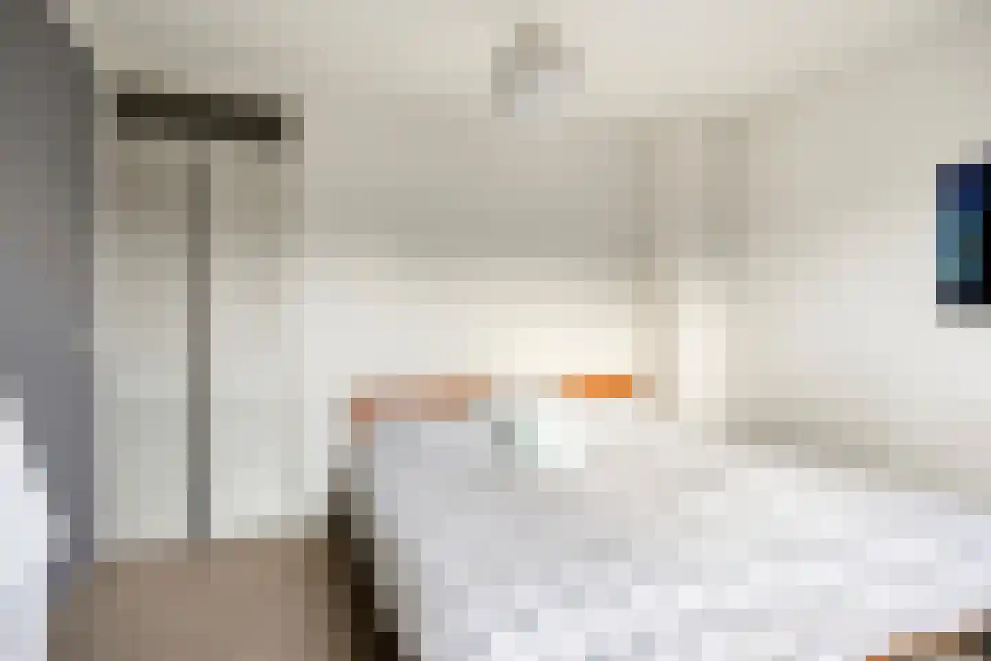 Stokmeesterslaan 24 Zwolle thumbnail 25