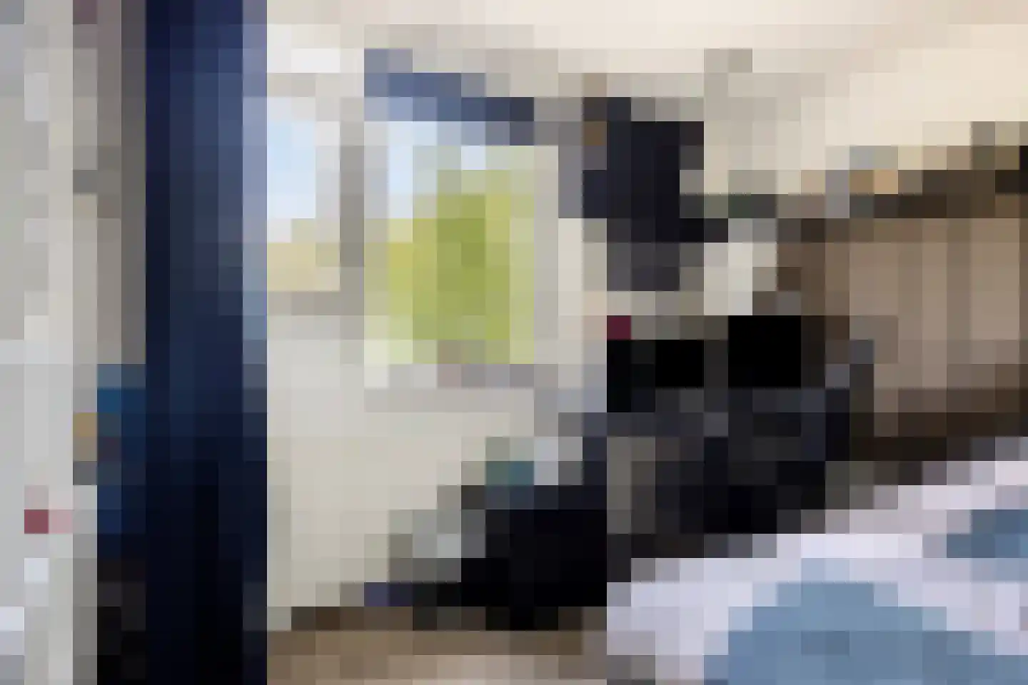 Stokmeesterslaan 24 Zwolle thumbnail 30