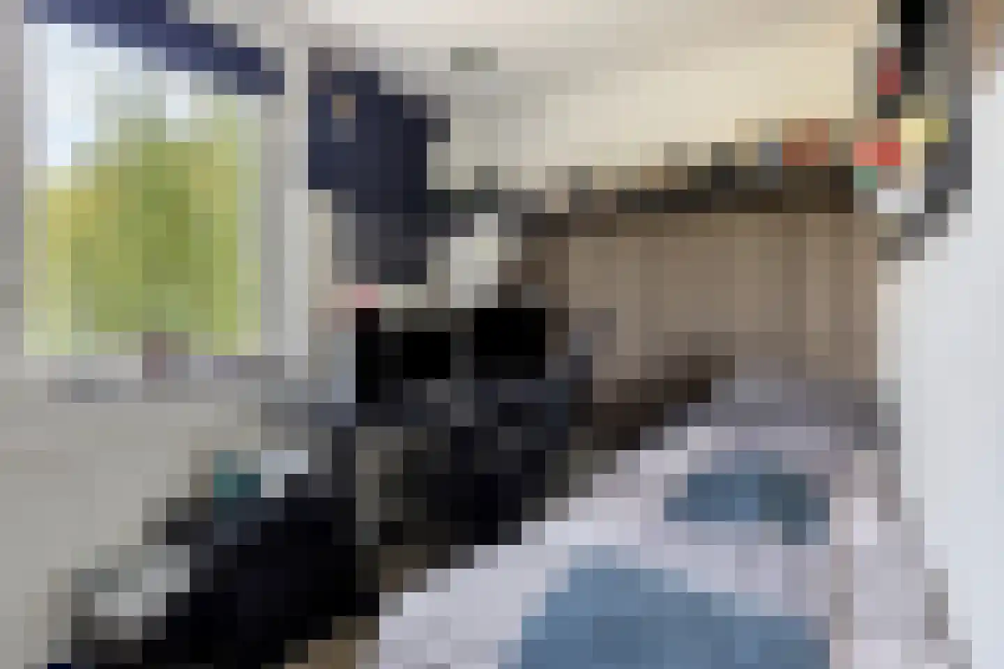 Stokmeesterslaan 24 Zwolle thumbnail 31