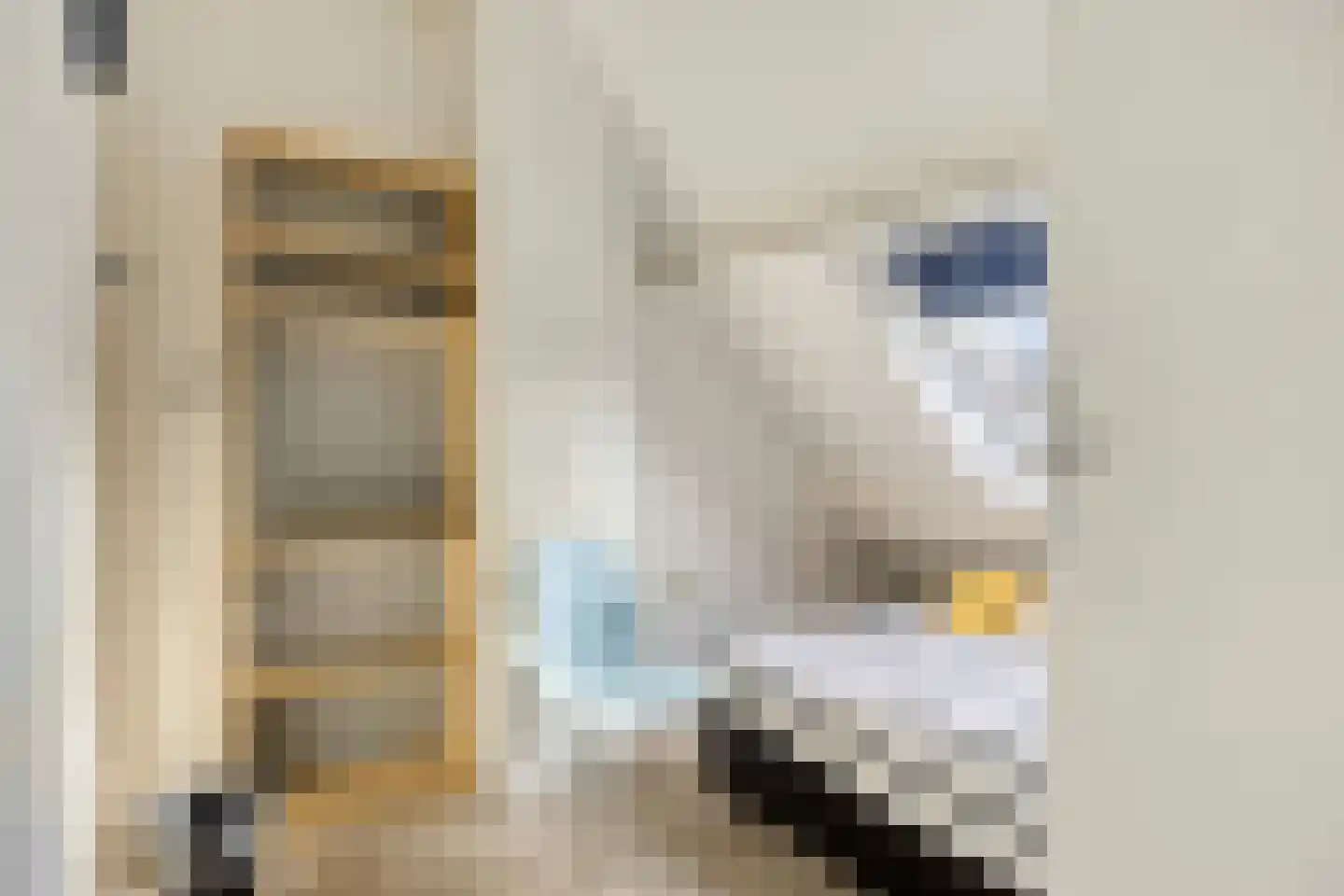 Stokmeesterslaan 24 Zwolle thumbnail 33