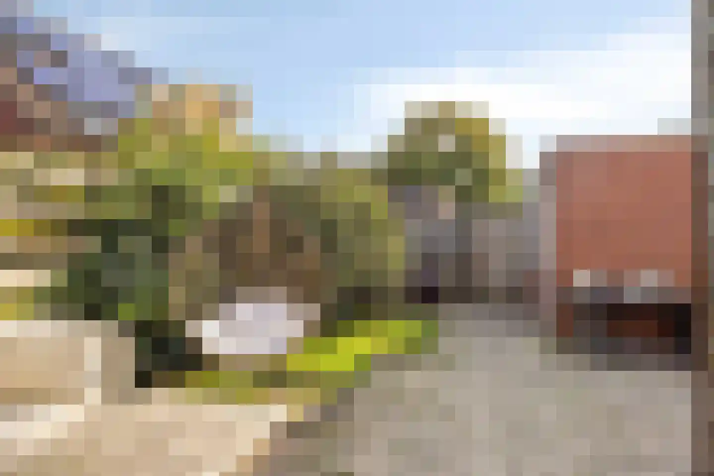 Stokmeesterslaan 24 Zwolle thumbnail 36