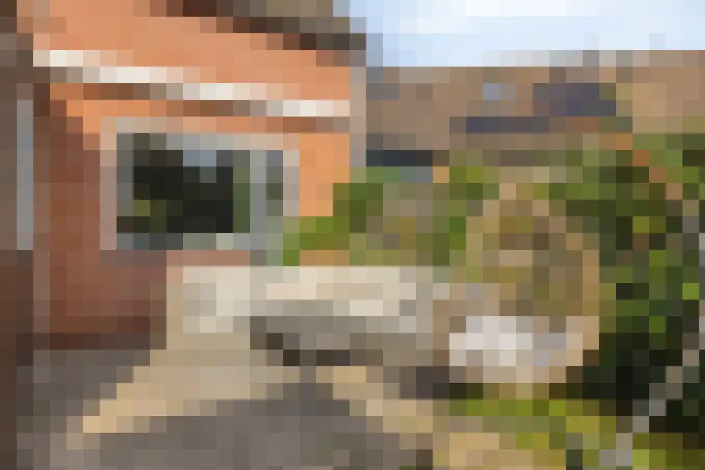 Stokmeesterslaan 24 Zwolle thumbnail 39