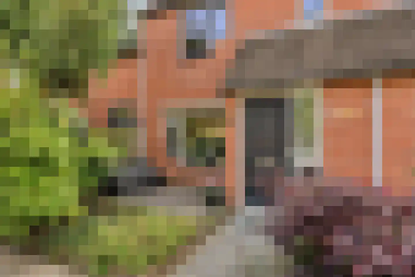 Stokmeesterslaan 24 Zwolle thumbnail 4