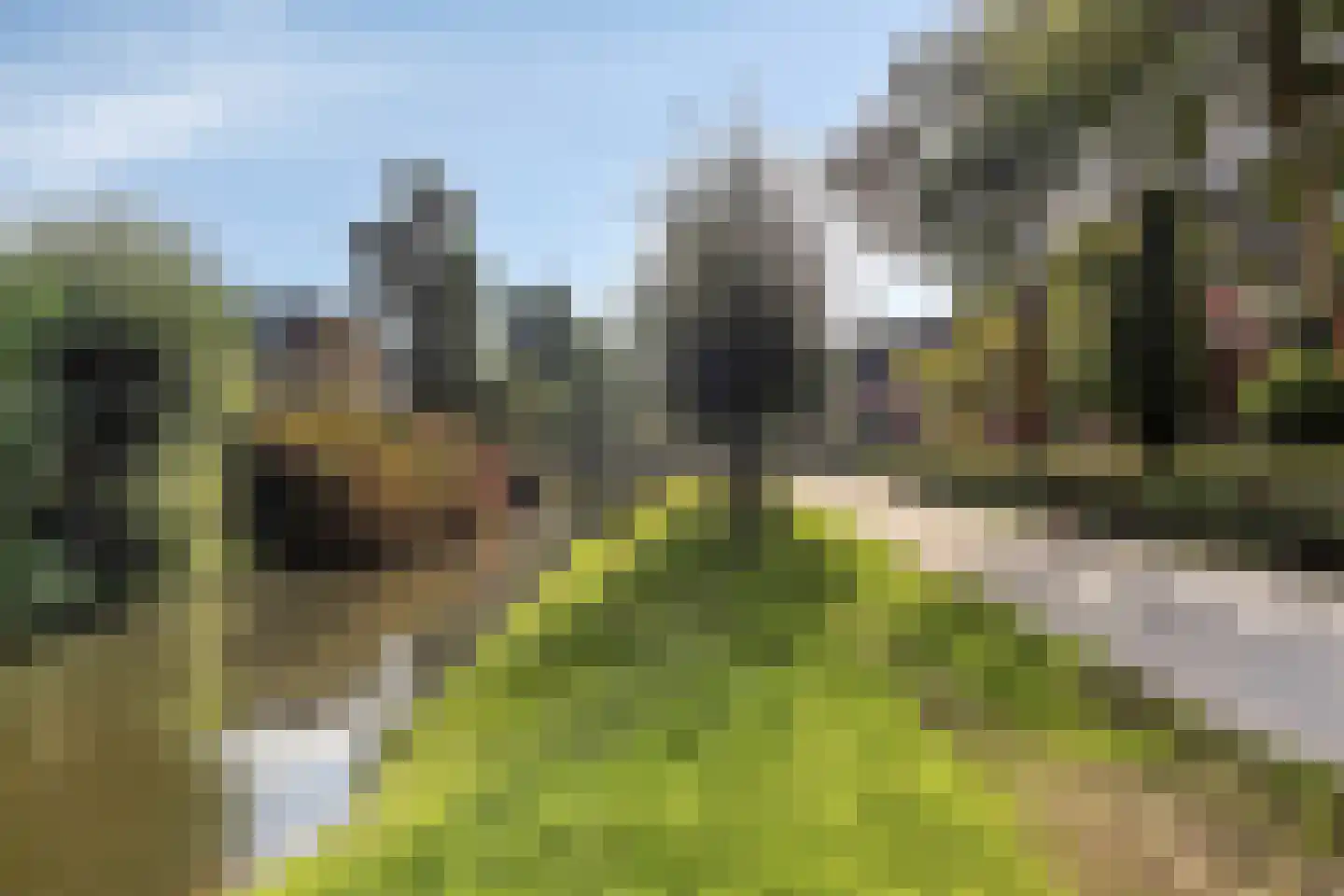 Stokmeesterslaan 24 Zwolle thumbnail 41