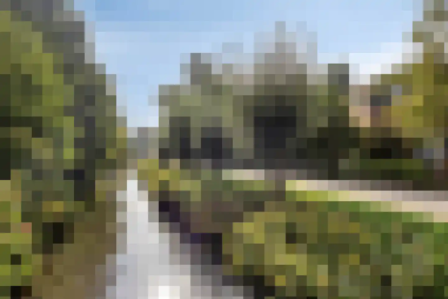 Stokmeesterslaan 24 Zwolle thumbnail 42