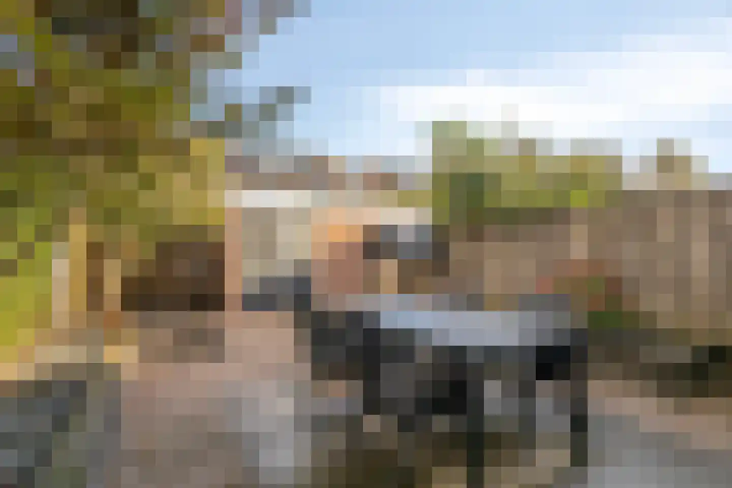 Stokroos 1 Nieuwegein thumbnail 32