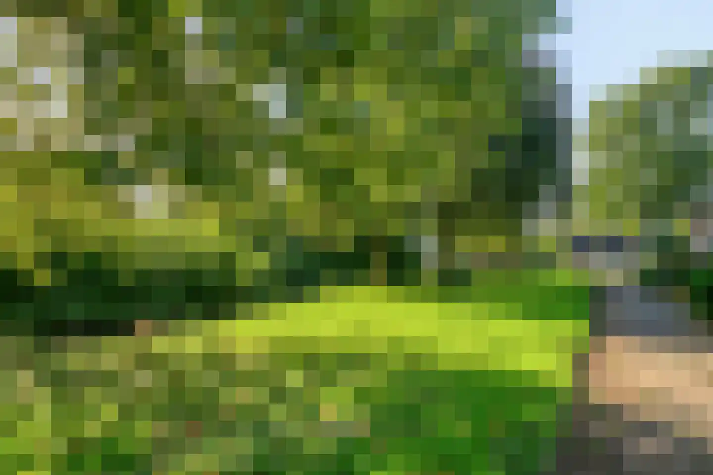 Stokroos 1 Nieuwegein thumbnail 38