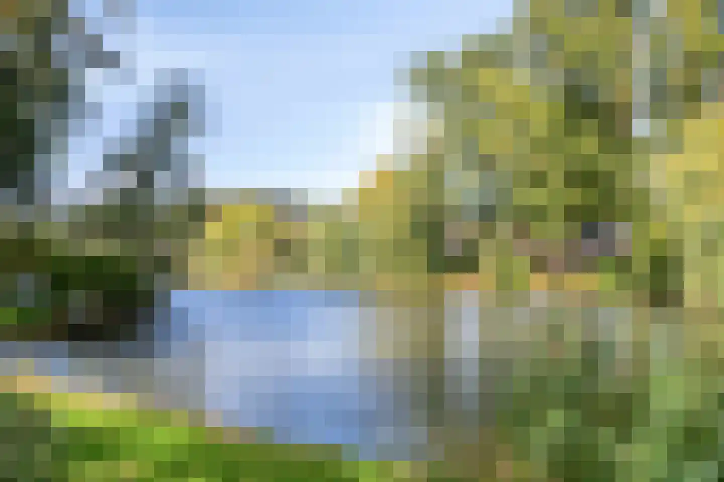 Stokroos 1 Nieuwegein thumbnail 40