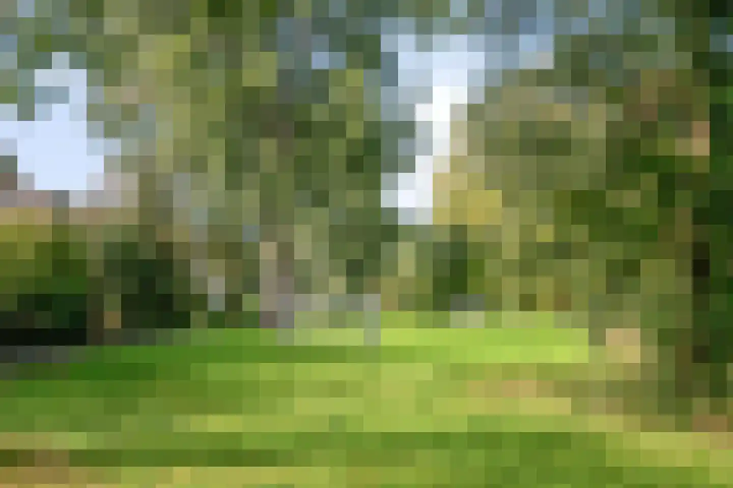 Stokroos 1 Nieuwegein thumbnail 41