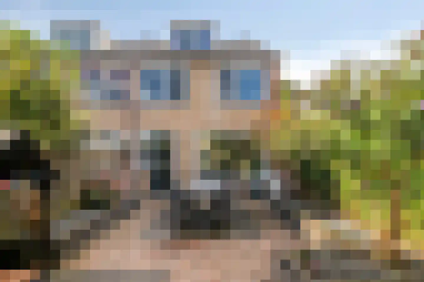 Stokroos 1 Nieuwegein thumbnail 6