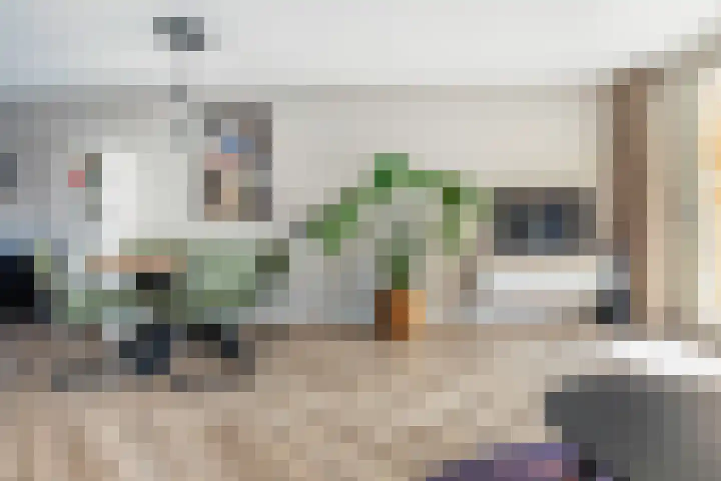 Stokroos 1 Noordwijkerhout thumbnail 10