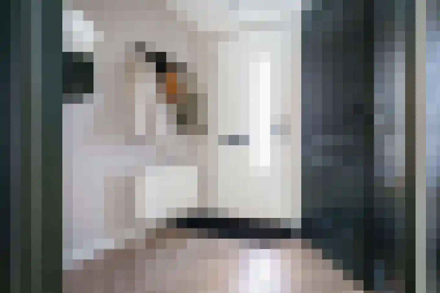 Stokroos 1 Noordwijkerhout thumbnail 14