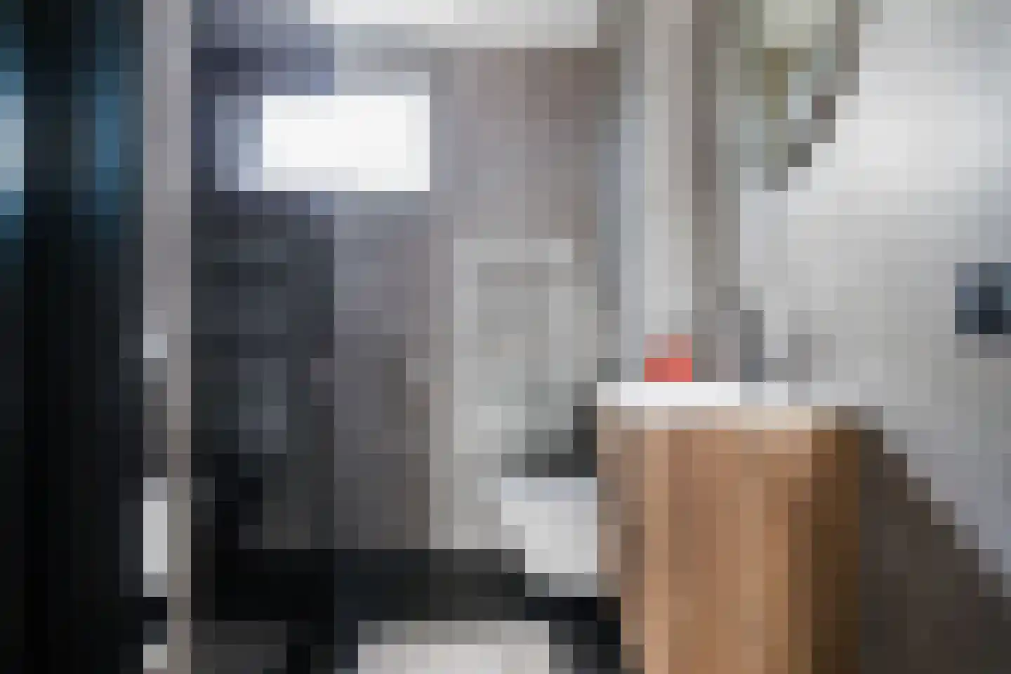 Stokroos 1 Noordwijkerhout thumbnail 23