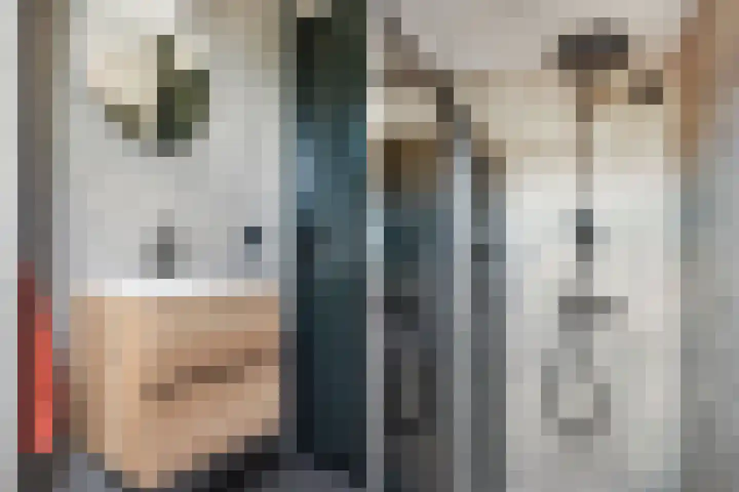 Stokroos 1 Noordwijkerhout thumbnail 24