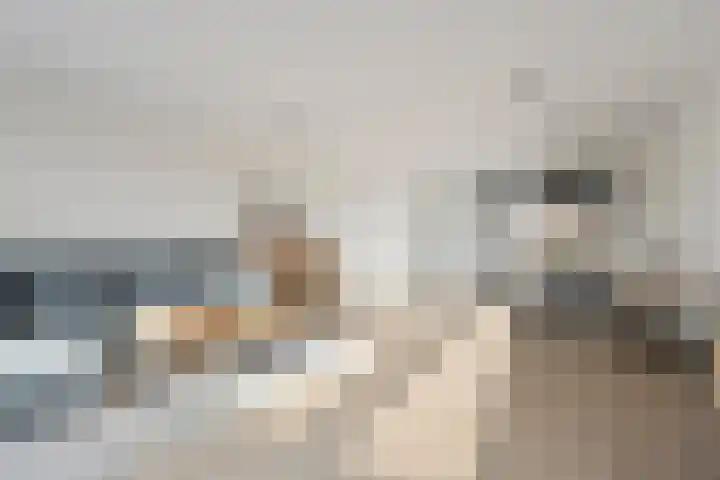 Stokroos 18 Zevenhuizen thumbnail 10