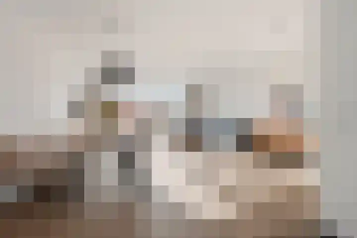 Stokroos 18 Zevenhuizen thumbnail 11
