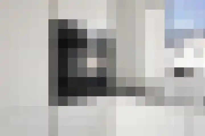 Stokroos 18 Zevenhuizen thumbnail 15